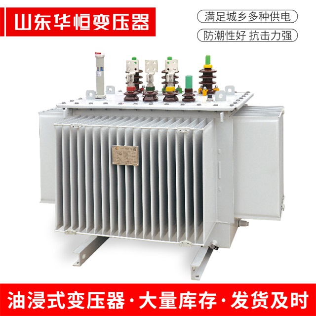 S13-10000/35阳西阳西阳西电力变压器